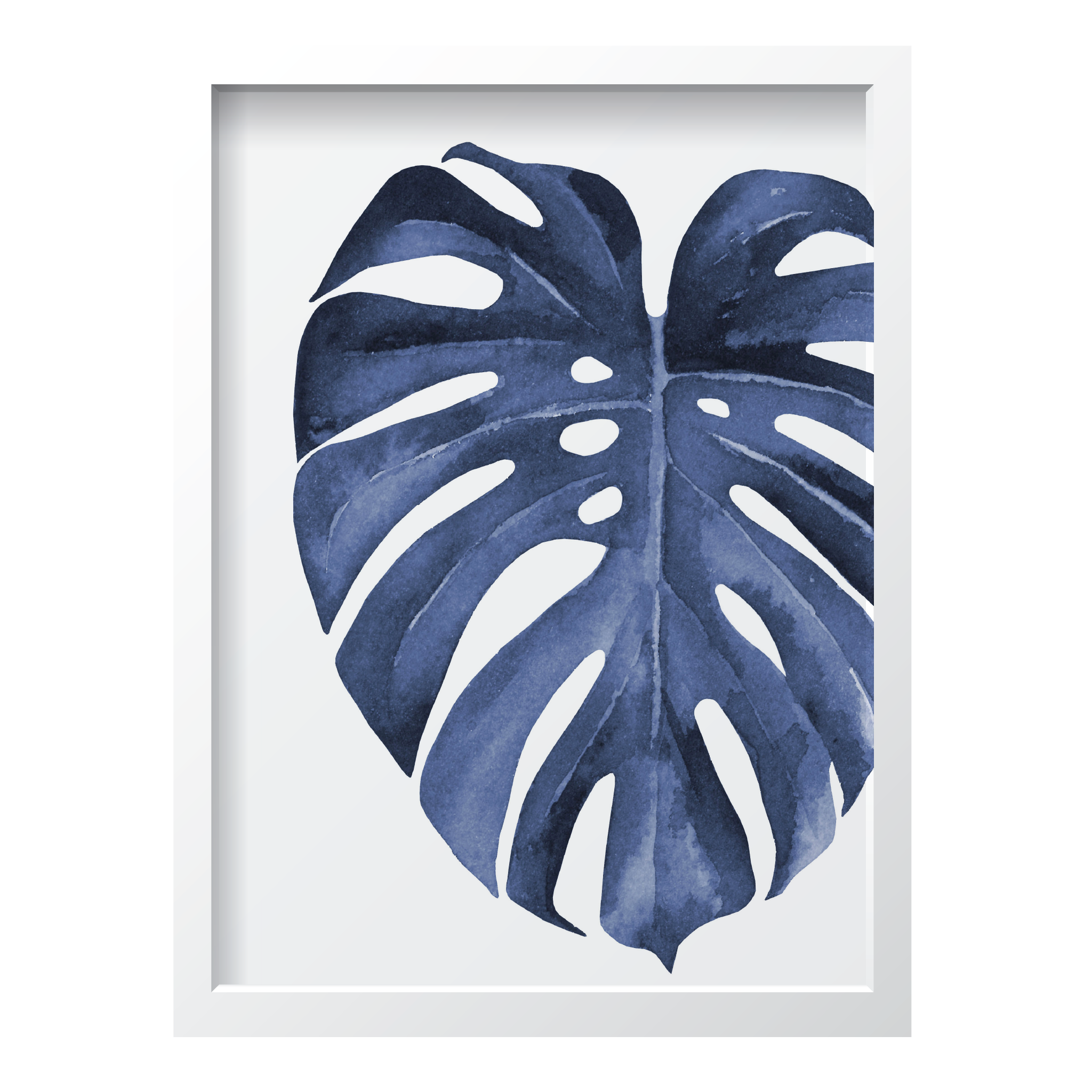 Blue Monstera