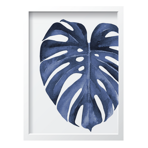 Blue Monstera