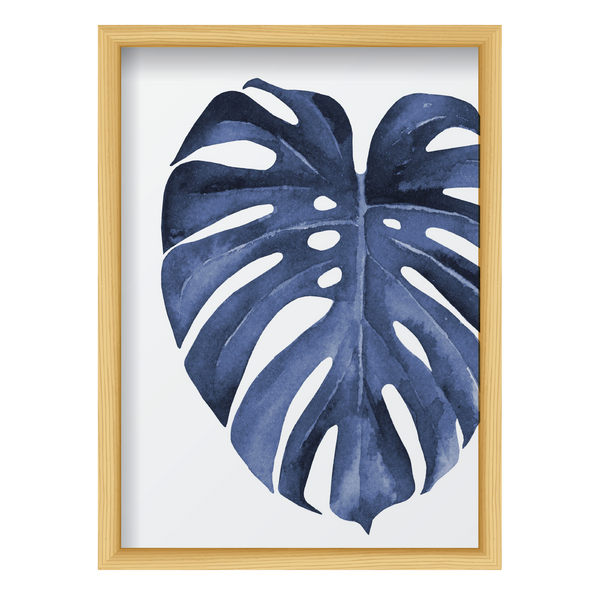 Blue Monstera