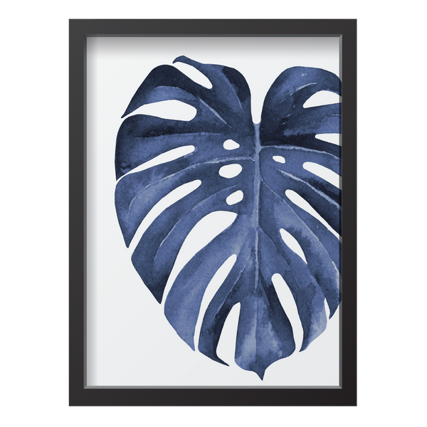 Blue Monstera