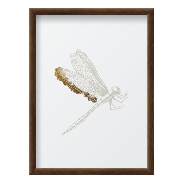 Golden Dragonfly 1