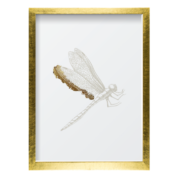 Golden Dragonfly 1