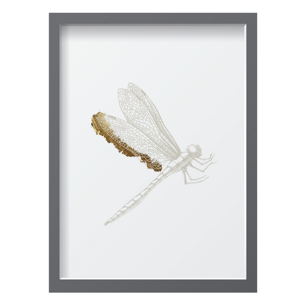 Golden Dragonfly 1