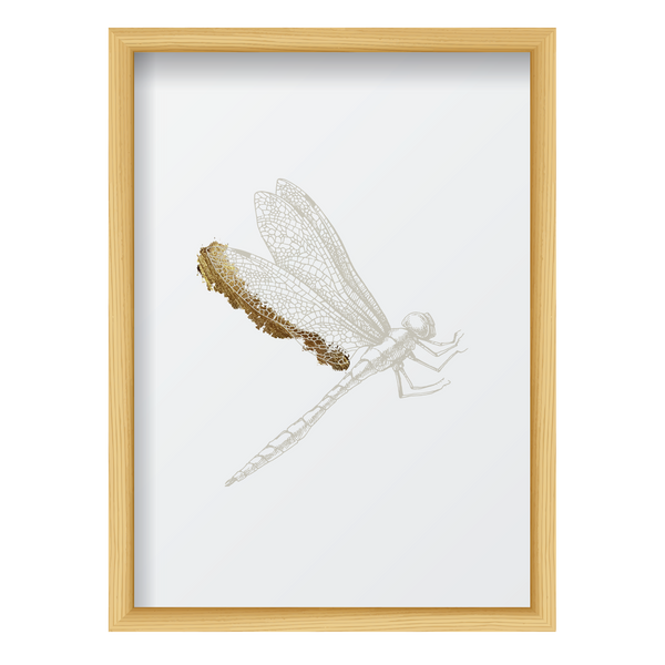 Golden Dragonfly 1