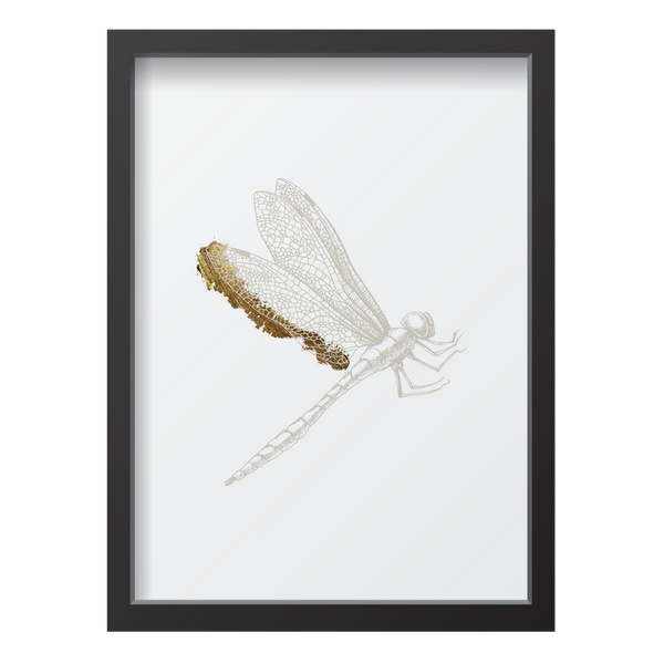 Golden Dragonfly 1