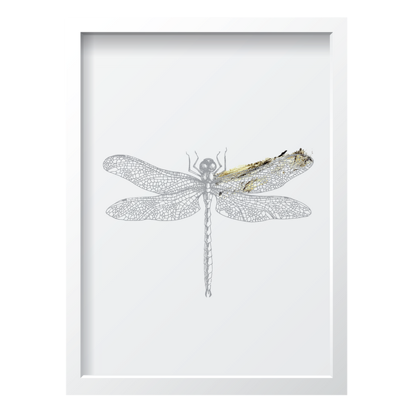 Golden Dragonfly 2