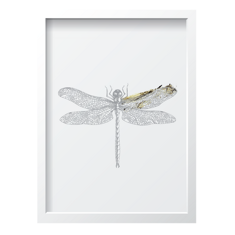 Golden Dragonfly 2