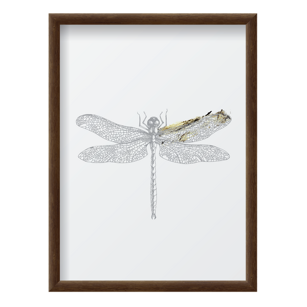 Golden Dragonfly 2