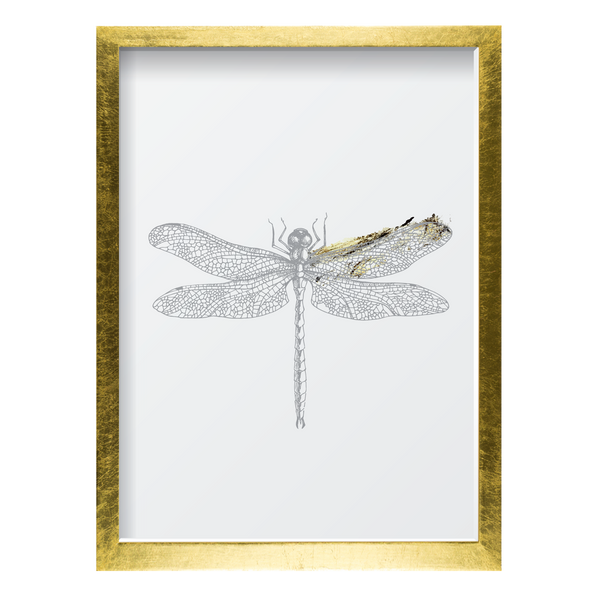 Golden Dragonfly 2