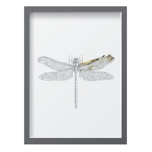 Golden Dragonfly 2