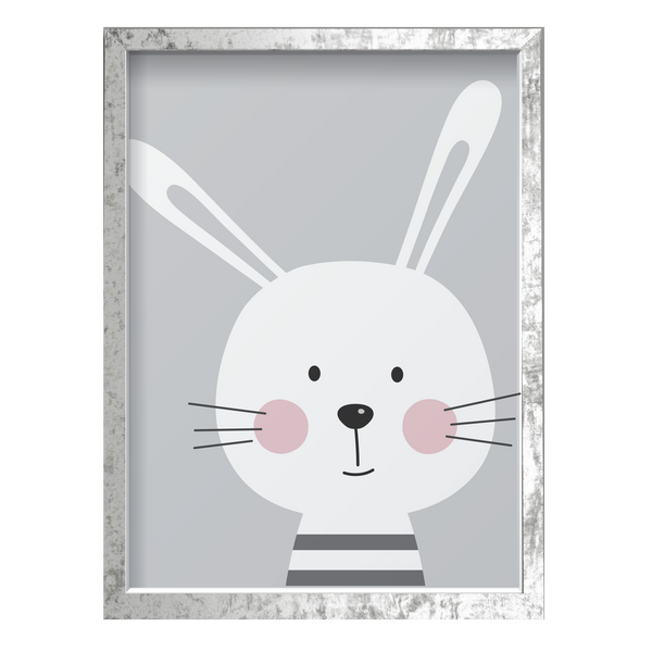 Gray Bunny