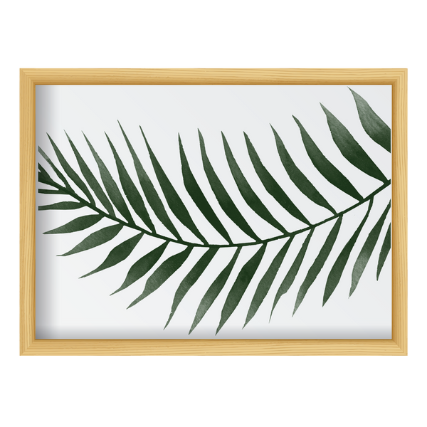 Palm Plant