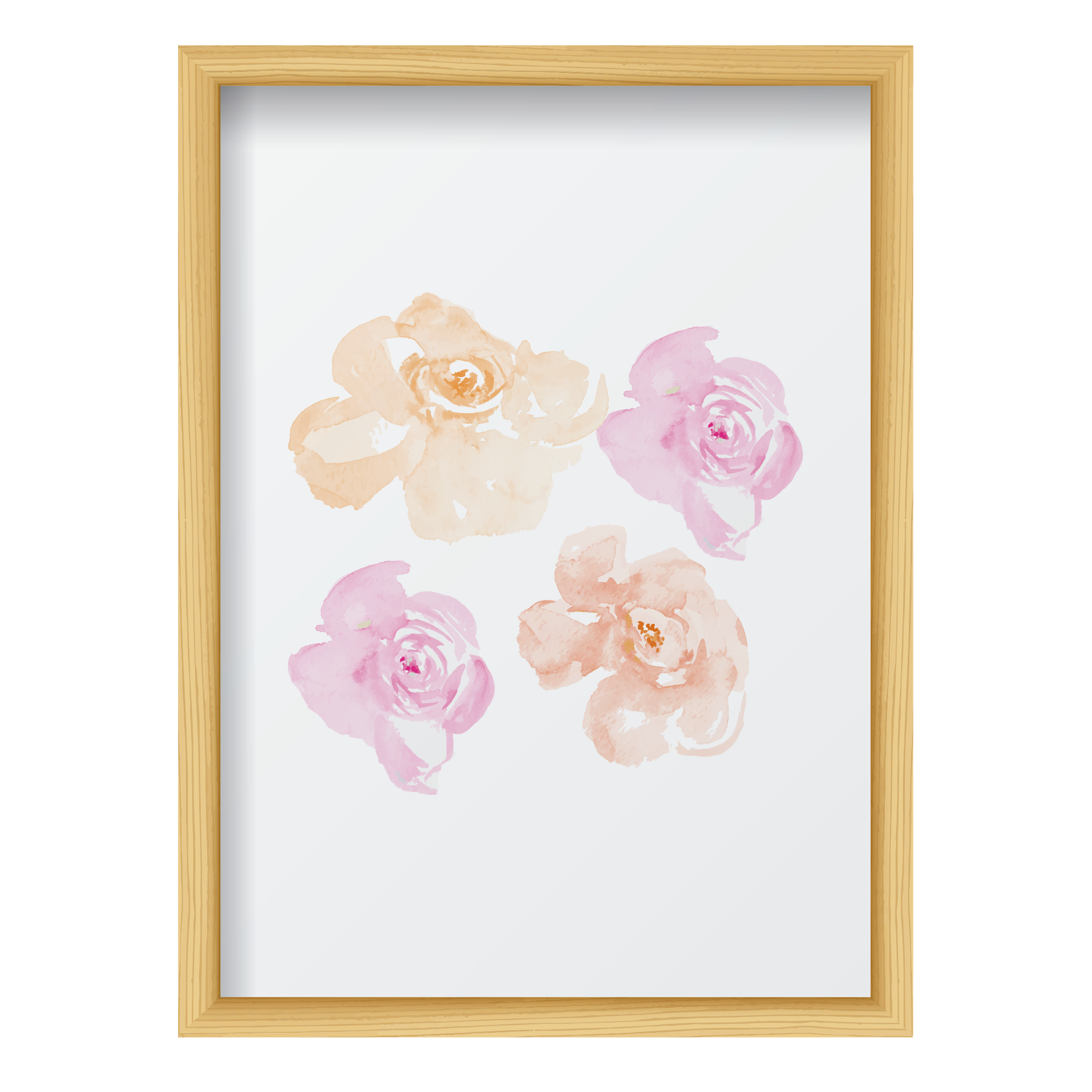 Pink & Coral Flowers