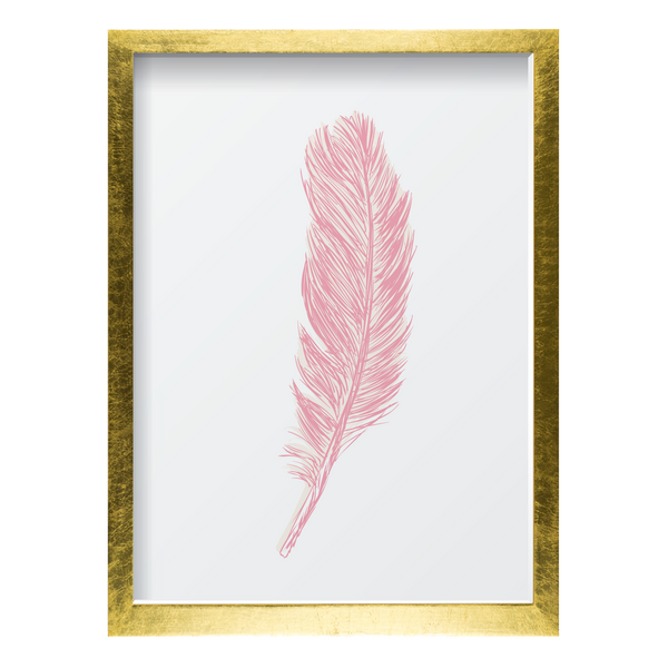 Pink Feather