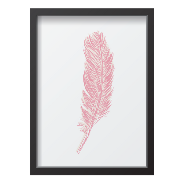 Pink Feather