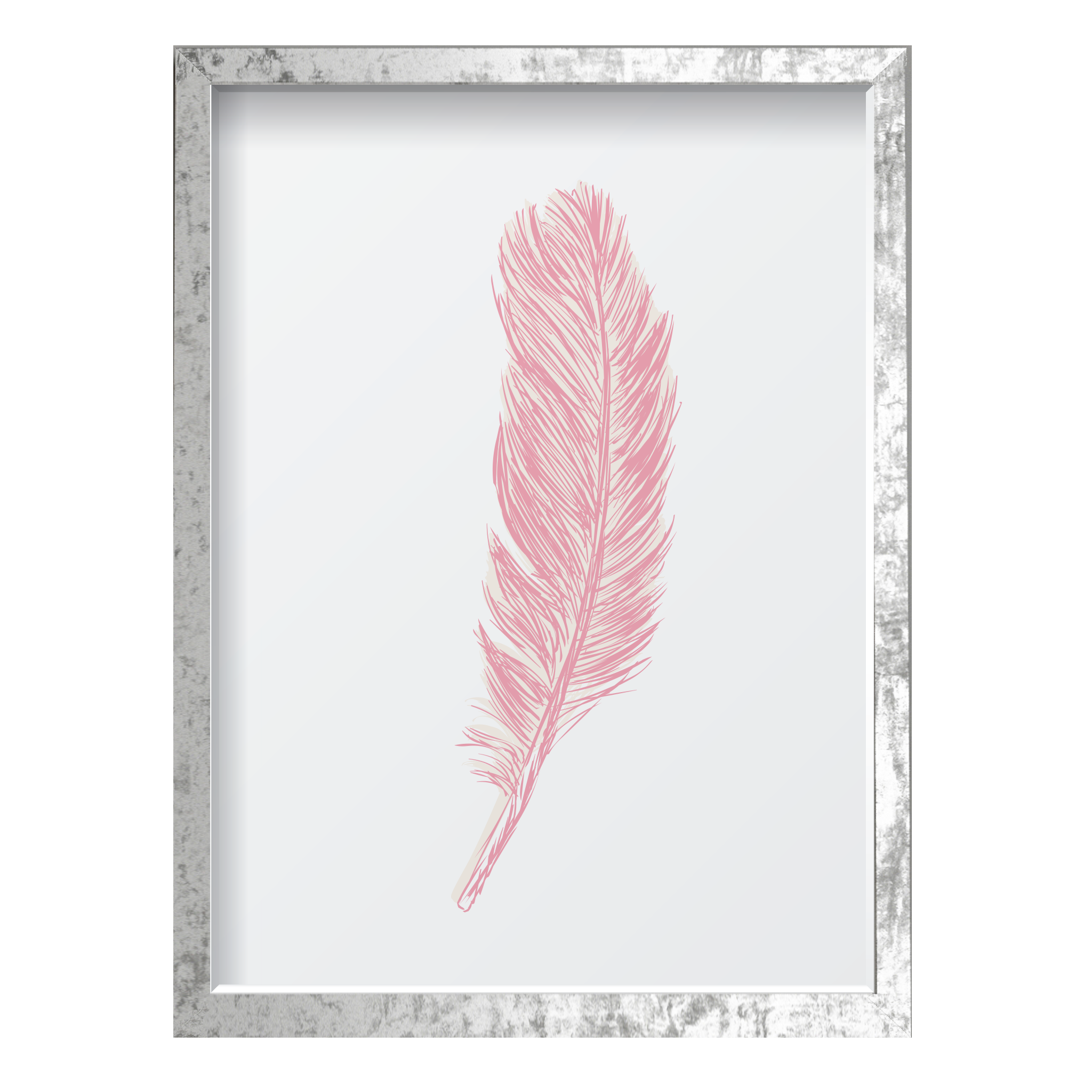 Pink Feather