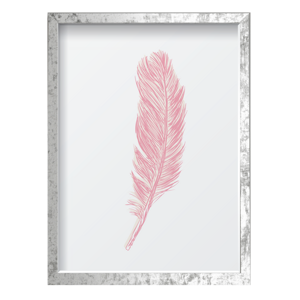 Pink Feather