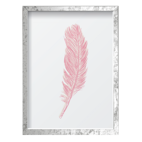 Pink Feather