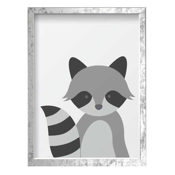 Woodlands Raccoon