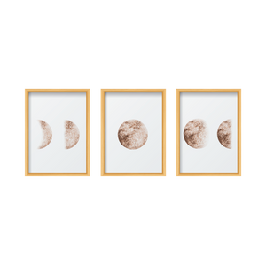 Moon Phases