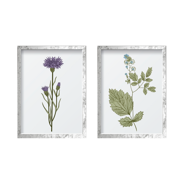 Vintage Flowers